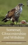 Where to Watch Birds in Somerset, Gloucestershire and Wiltshire